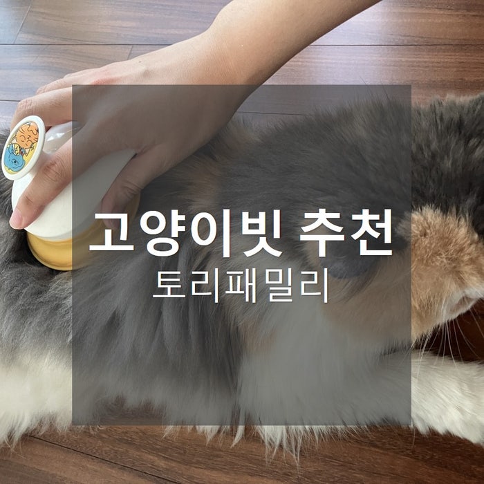  고양이빗추천_10년차 집사 종류별 후기