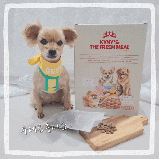  강아지 사료 추천 3개월 강아지 노견 소프트 곤충사료 키니즈