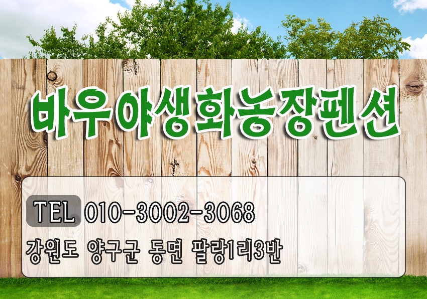 바우야생화농장펜션 사진 4