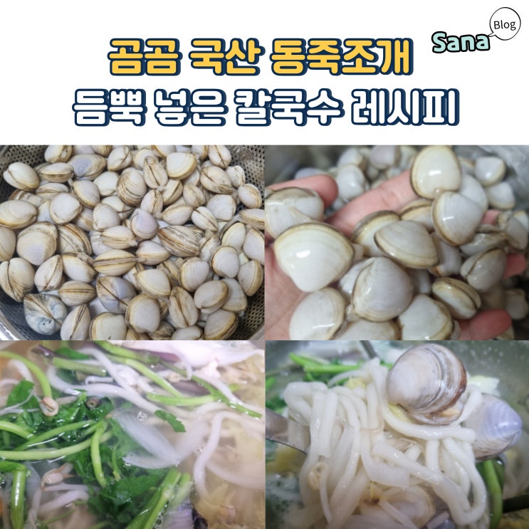  곰곰 국산 동죽조개 듬뿍 넣은 칼국수 레시피