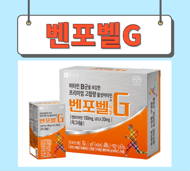  벤포벨G 가격 성분 완벽정리