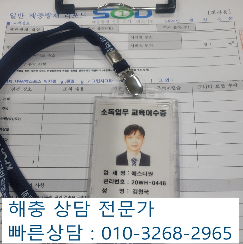 [2] 우리집 미세해충(먼지다듬이,유령개미,섶벌레)퇴치 어떻게 해요