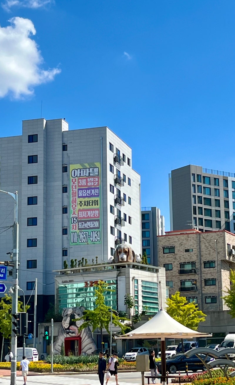 전주 뺨치게 좋았던 수원 上) 퀄리티는 좋지만 형평성은 낮은 : 네이버 블로그