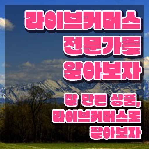  라이브커머스전문가 강의 , 라이브커머스전문가 자격증 단기간에 취득한 정보 , 취업 전망