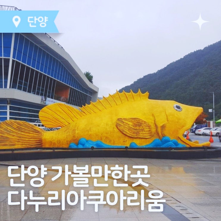  충북 단양여행 단양 가볼만한곳 다누리아쿠아리움