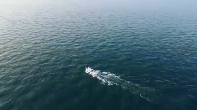  병원코디네이터 자격증 유효기간 , 병원코디네이터 자격증 준비한 방법 정보 모두 드려요