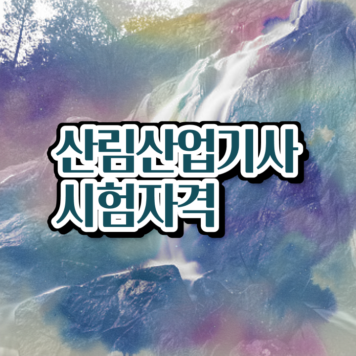  산림산업기사 시험자격 학점은행제로 간편하게 끝낸 후기