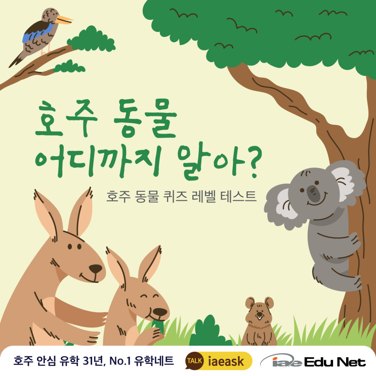  [호주 정보] 호주 동물 어디까지 알아? 호주 동물 퀴즈 레벨 테스트| 영어와 한국어 이름 맞추기 | 호주 희귀 동물 알아보기