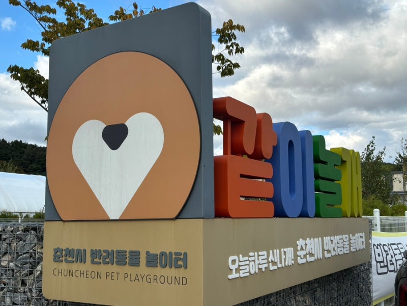 사진 3