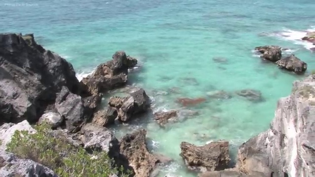  부동산매매 계약서류 , 부동산자산관리전문가 부동산자산관리사자격증 합격 비법 , 빠르게 따는 법
