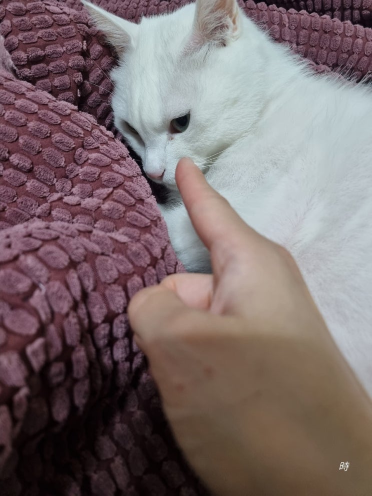  나는 반성같은거 몰라