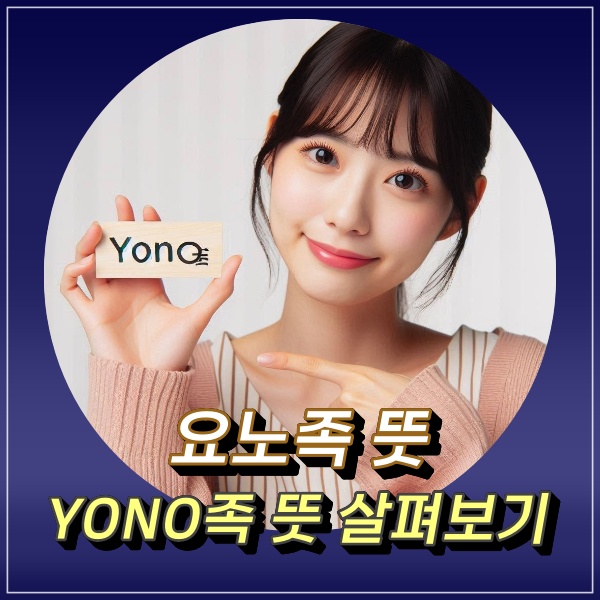  욜로족 요노족 뜻 YOLO족 아니아니 이제는 YONO족