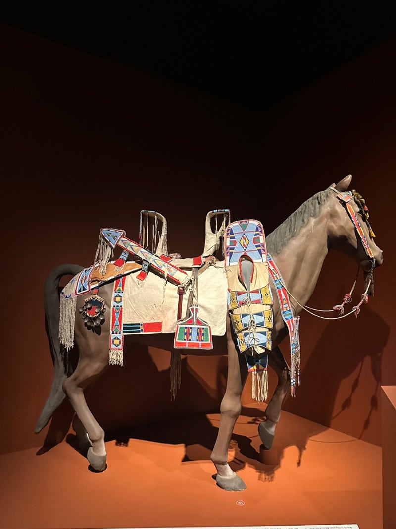 우리가 인디언으로 알던 사람들\u003e전을 보고 : 네이버 블로그, image size:800x1067