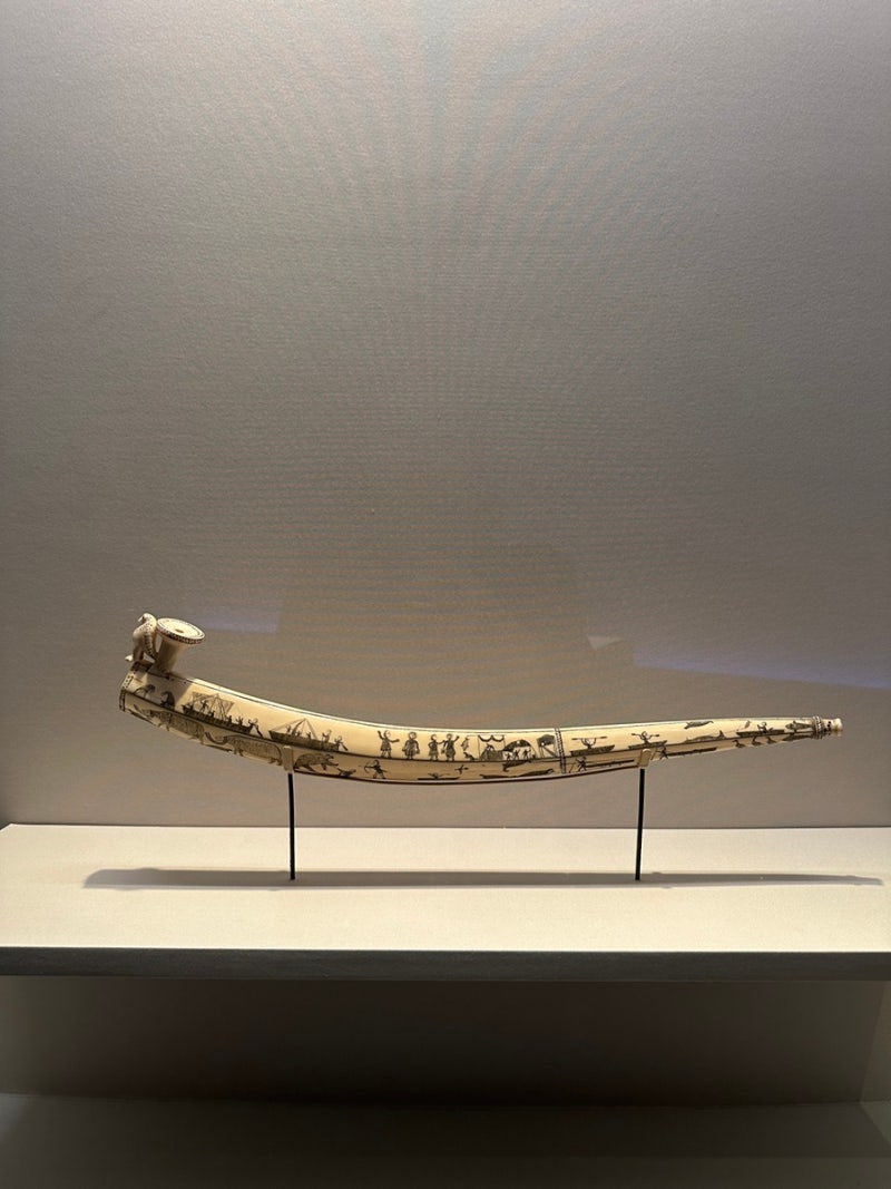 우리가 인디언으로 알던 사람들\u003e전을 보고 : 네이버 블로그, image size:800x1067