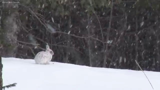  전기공사산업기사 필기 시험 요건 전기공사산업기사 취득자격 온라인 수업으로 편하게 완료한 과정