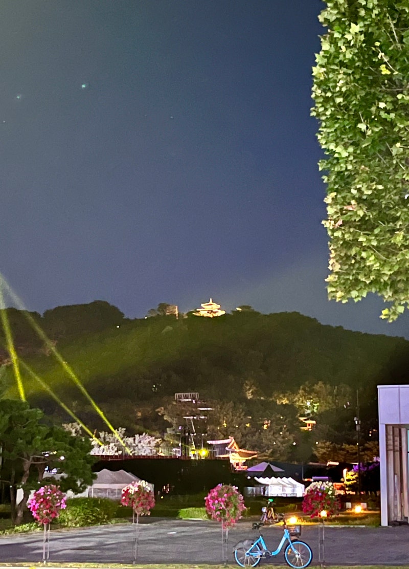 전주 뺨치게 좋았던 수원 上) 퀄리티는 좋지만 형평성은 낮은 : 네이버 블로그