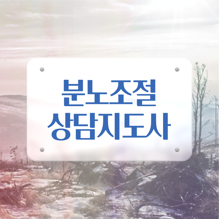  분노 조절장애남편 분노조절상담지도사자격증 2주 만에 준비한 방법