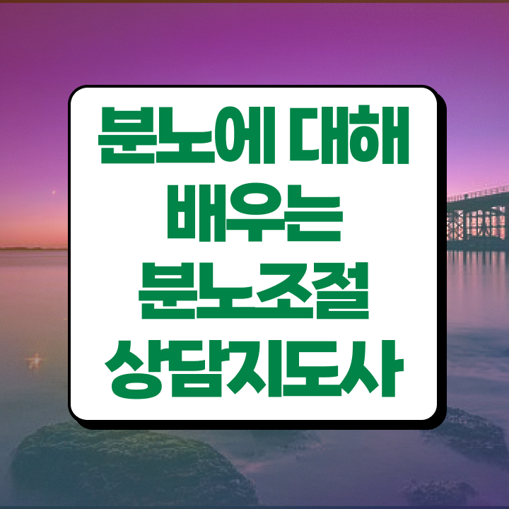  분노조절상담지도사자격증따기 분노조절상담지도사자격증 단기간에 취득한 과정 요약