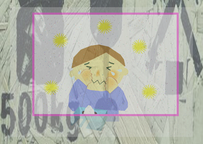  화분의 크기와 형태 선택 요령
