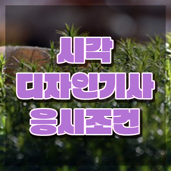  시각디자인기사 접수자격 시각디자인기사 시험자격 학점은행제로 편하게 완료한 팁