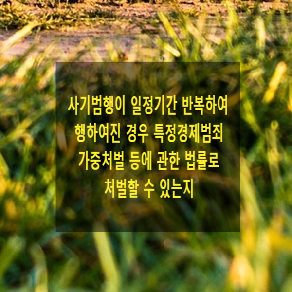 사기범행이 일정기간 반복하여 행하여진 경우 특정경제범죄 가중처벌 등에 관한 법률(특경법)로 처벌할 수 있는지(재산범죄)