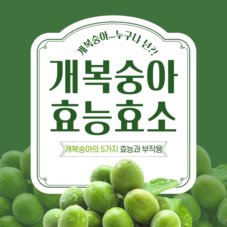  개복숭아효소효능 만드는법 수확시기 총정리