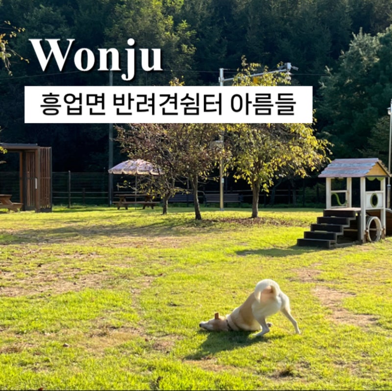 사진 3