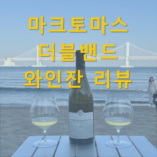  마크토마스 더블밴드 와인잔 장단점 리뷰