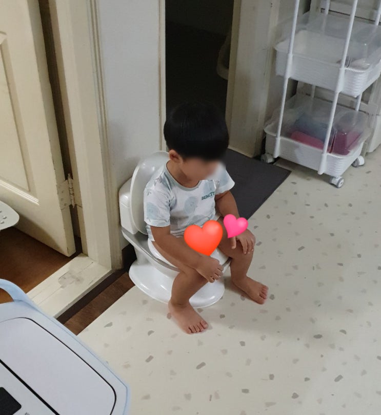  낮 기저귀, 밤 기저귀 동시에 떼는 중인 31개월 남아 배변훈련 후기(ft.배변훈련 꿀팁, 아이팜 유아변기)