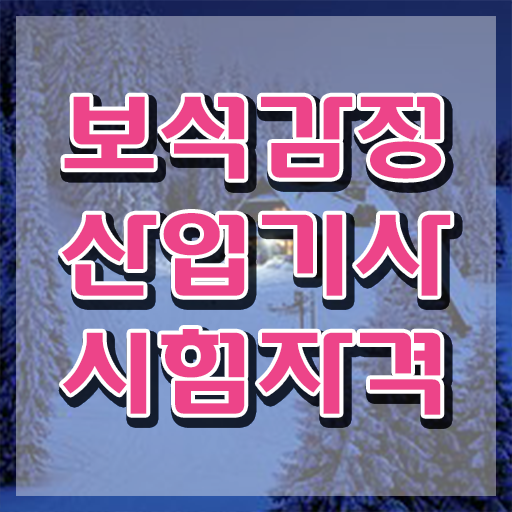  보석감정산업기사 시험 자격 보석감정산업기사 시험응시조건 온라인 수업으로 편하게 끝낸 전략