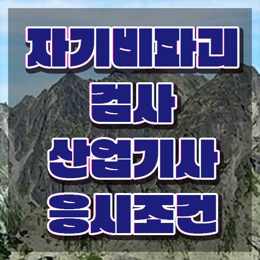  자기비파괴검사산업기사 채용 자기비파괴검사산업기사 시험자격 온라인 수업으로 간단하게 끝낸 팁