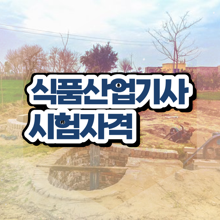 식품산업기사 응시자격 식품산업기사 시험자격 온라인으로 단기간에 준비한 전략