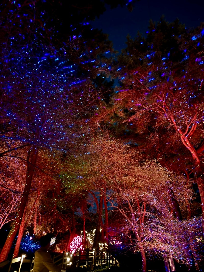 전주 뺨치게 좋았던 수원 上) 퀄리티는 좋지만 형평성은 낮은 : 네이버 블로그