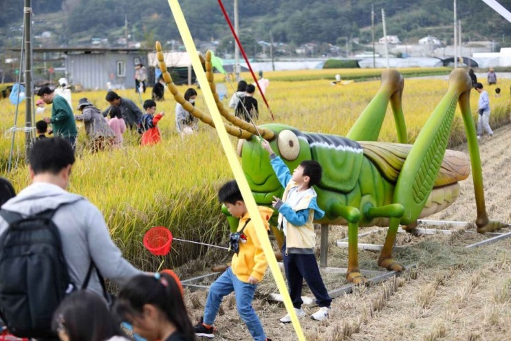  성주가야산 황금들녘 메뚜기축제 2024 기본정보