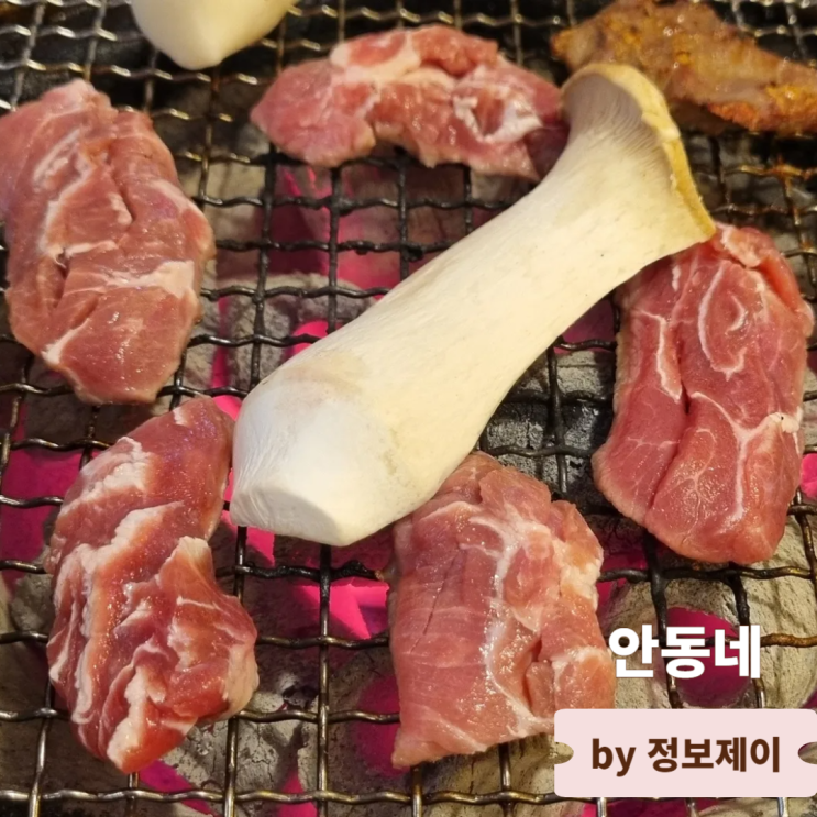  종각 맛집 테라스가 있는 종로 고기집 안동네