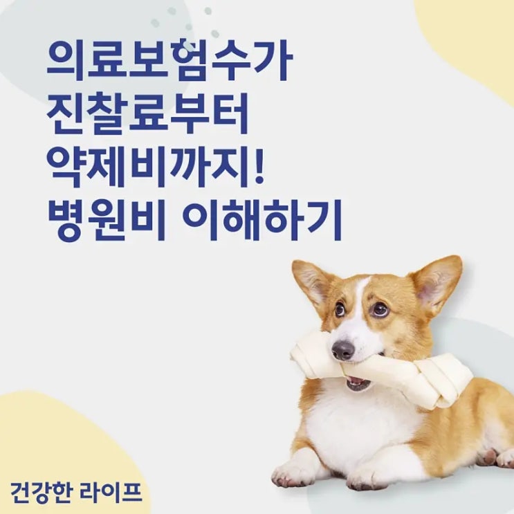 의료보험수가, 진찰료부터 약제비까지! 병원비 이해하기
