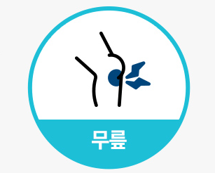  무릎통증-거위발건염(Pes anserinus tendititis)