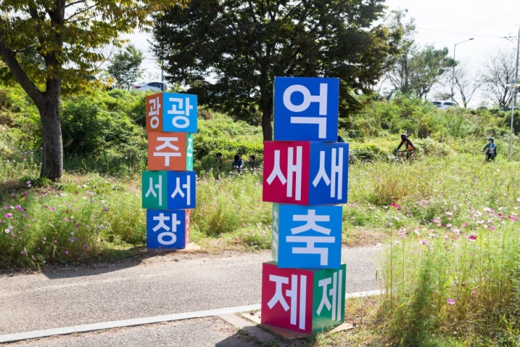  2024 광주서창억새축제 기본정보 I 광주서구 영산강변