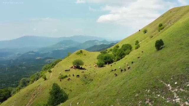  사회복지학위 . 사회복지사 대학진학없이 독학으로 간편하게