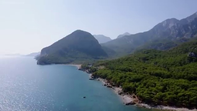  심리상담사평생교육원 , 심리상담사 자격증 2주 만에 취득한 과정 , 전망