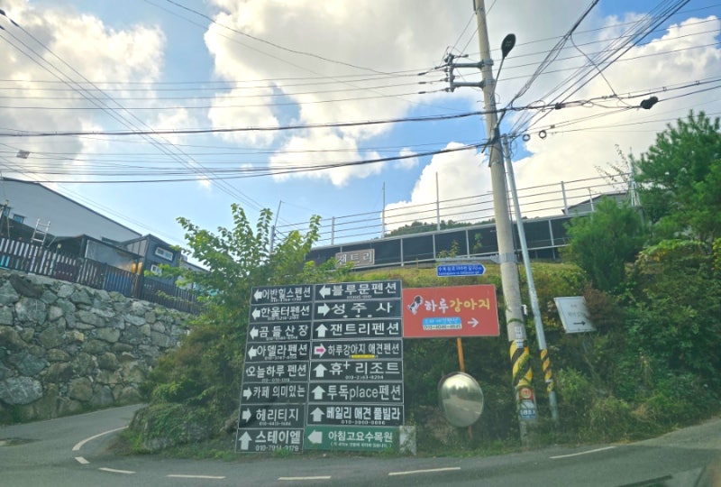 사진 10