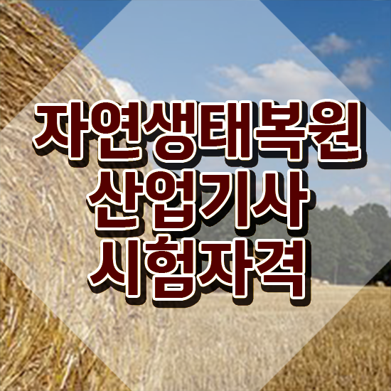  자연생태복원산업기사 교육 자연생태복원산업기사 시험응시조건 온라인 수업으로 편하게 준비한 과정