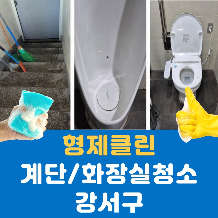  서울 강서구 계단청소, 화장실청소 전문 업체 – 깨끗한 환경을 유지하는 비결!
