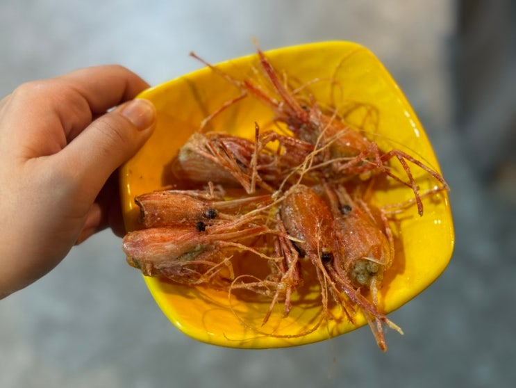  외박 나온 동생과 함께한 속초 이모저모 먹거리 여행 2박 3일(당근마차, 롯데 리조트)