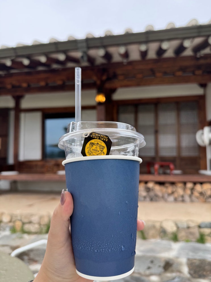  [천안 한옥카페 추천] 조용하고 실외 마당이 있는 애견동반카페 풍세커피 방문후기(내돈내산)