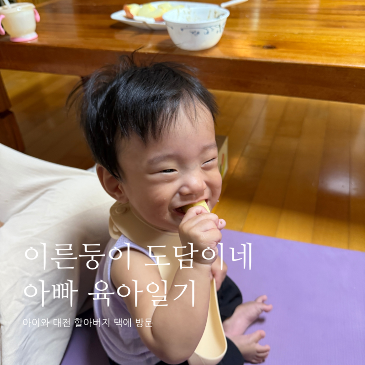 아이와 대전 할아버지 댁에 방문 D+349 아이와 대전 할아버지 댁에 방문 D+349