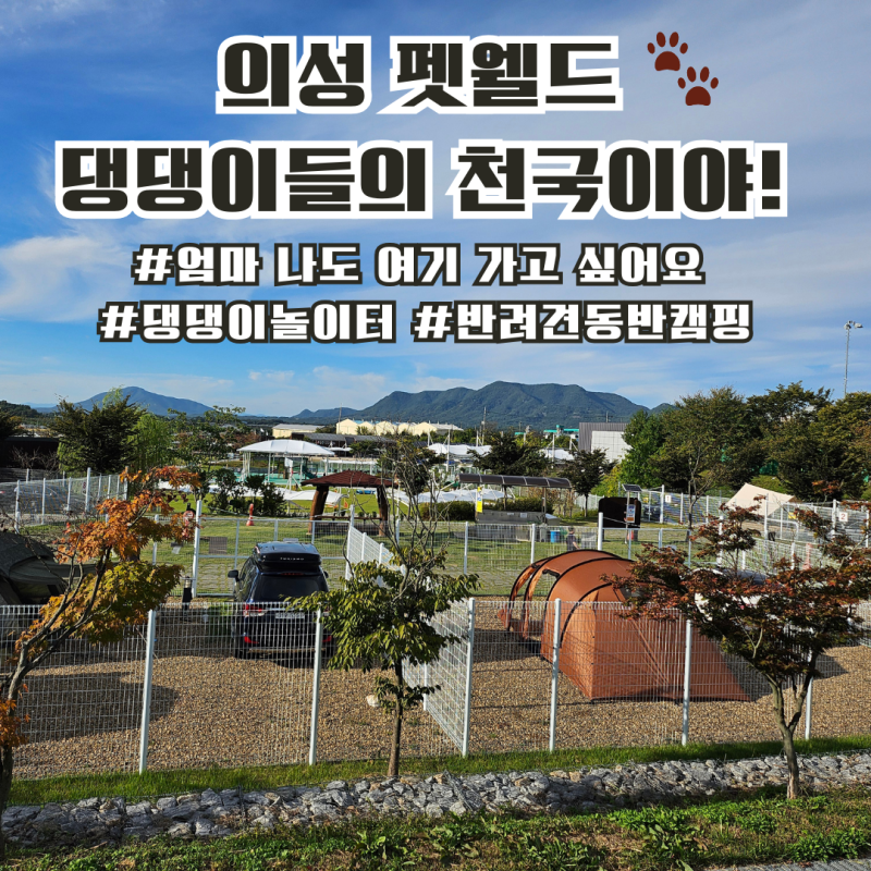 사진 4