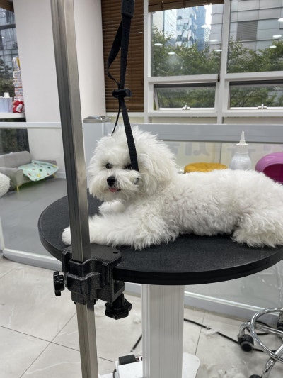 사진 2