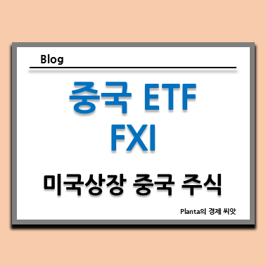  미국 상장 중국 주식 ETF FXI 주가