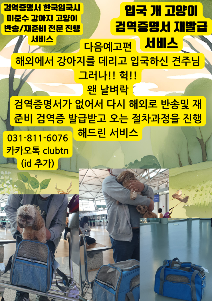  한국입국 반려동물 강아지 검역증명서 분실 미준수 반송 고양이 검역증명서 미준수 반송 절차 서비스 강아지 고양이 반려견 반려묘 검역증명서 재발급 서비스
